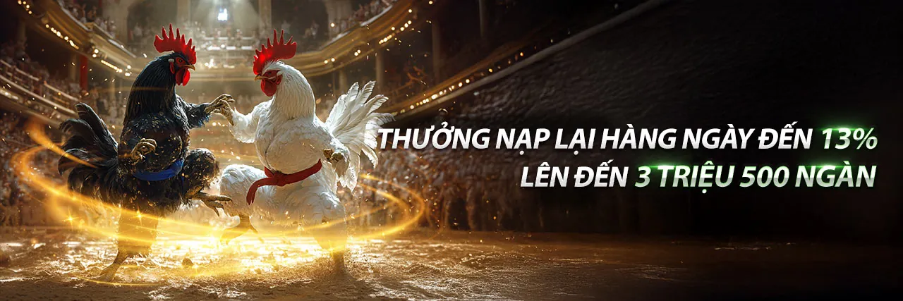 Hình ảnh chính MCW66 App với các trò chơi sòng bạc