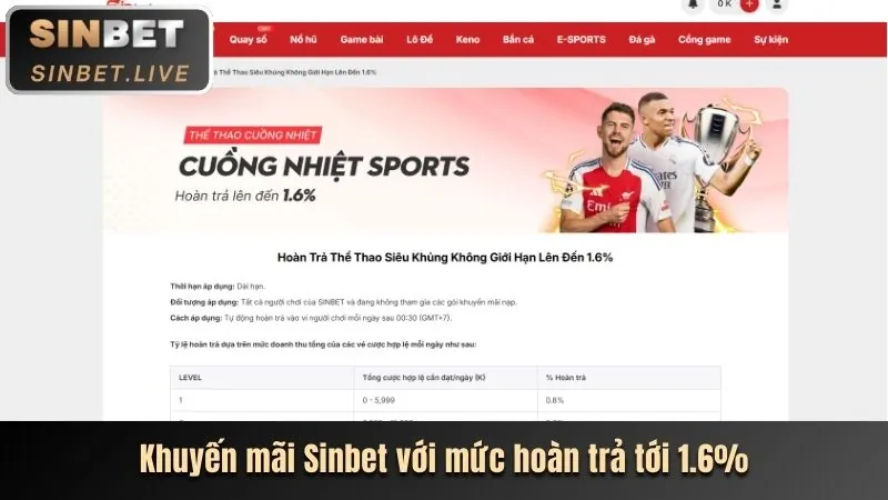 Hướng dẫn cá cược thể thao hiệu quả trên mcw66 app